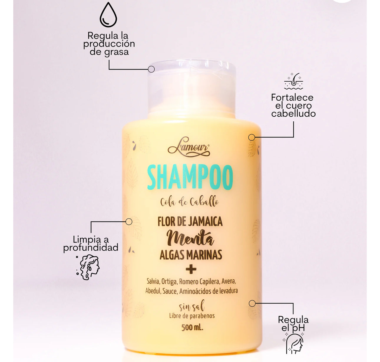 Shampoo Cola de Caballo Lamour