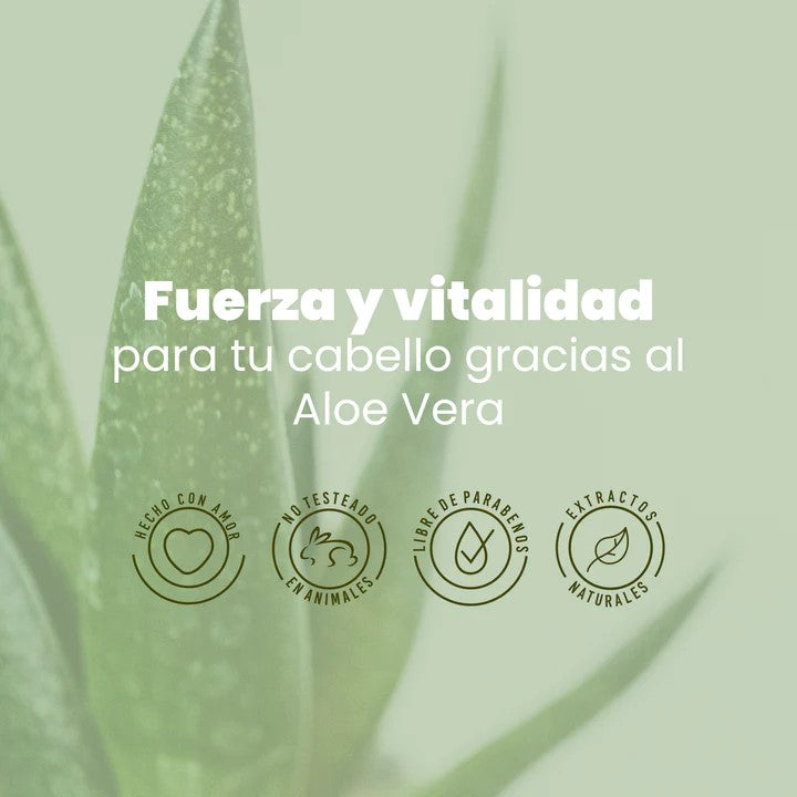 Shampoo aloe vera Anyeluz